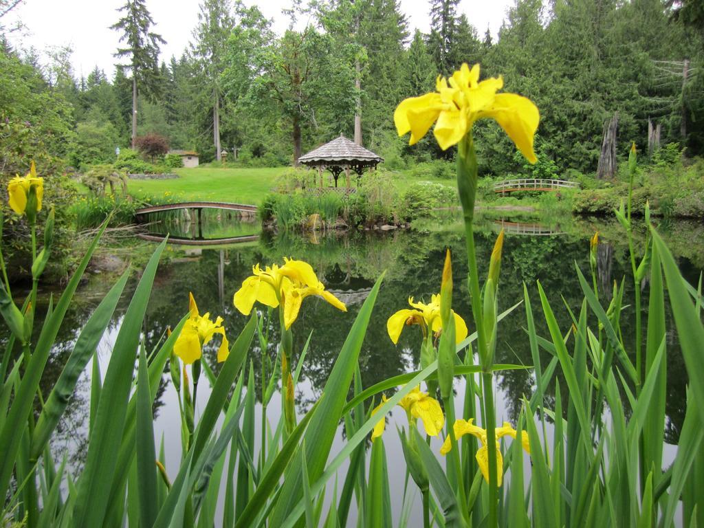 A Hidden Haven Cottages Порт Анджелес Екстериор снимка